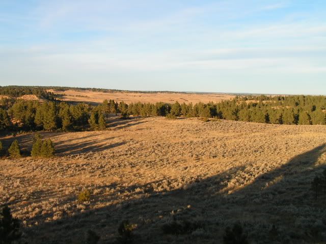 montana2011005.jpg