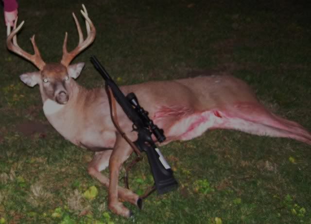 whitetail20109point001-1.jpg