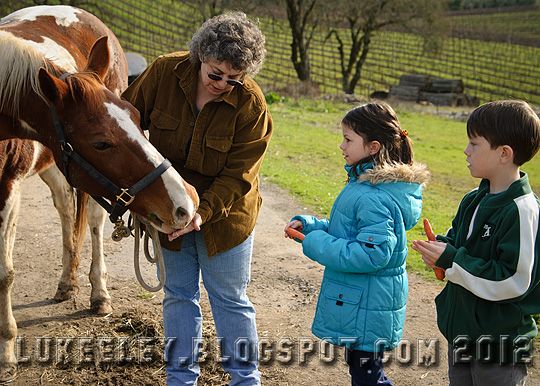  photo 2012-12-31-Horse_Riding_0002.jpg