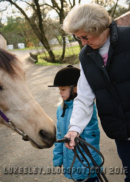  photo 2012-12-31-Horse_Riding_0014.jpg