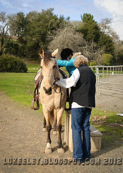  photo 2012-12-31-Horse_Riding_0016.jpg