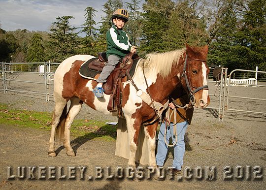  photo 2012-12-31-Horse_Riding_0019.jpg