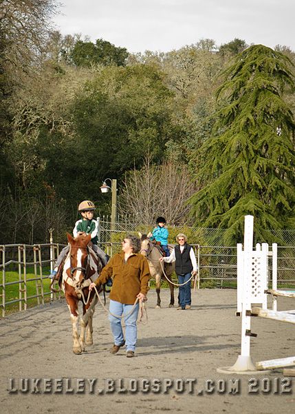  photo 2012-12-31-Horse_Riding_0021.jpg
