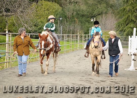  photo 2012-12-31-Horse_Riding_0026.jpg
