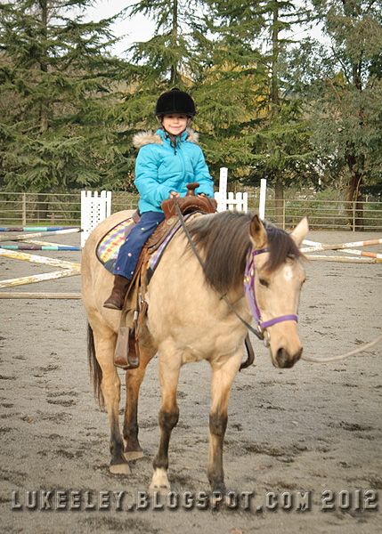  photo 2012-12-31-Horse_Riding_0029.jpg