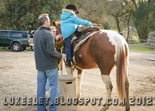  photo 2012-12-31-Horse_Riding_0031.jpg