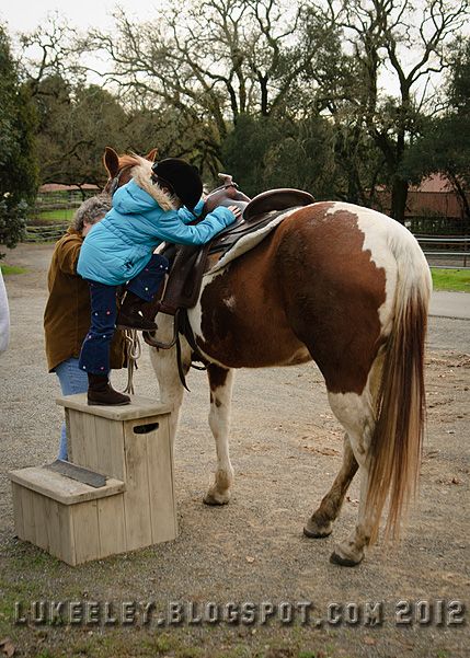  photo 2012-12-31-Horse_Riding_0038.jpg