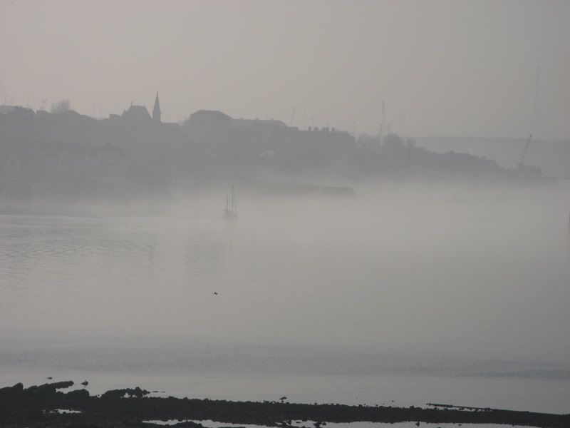 Fog2.jpg