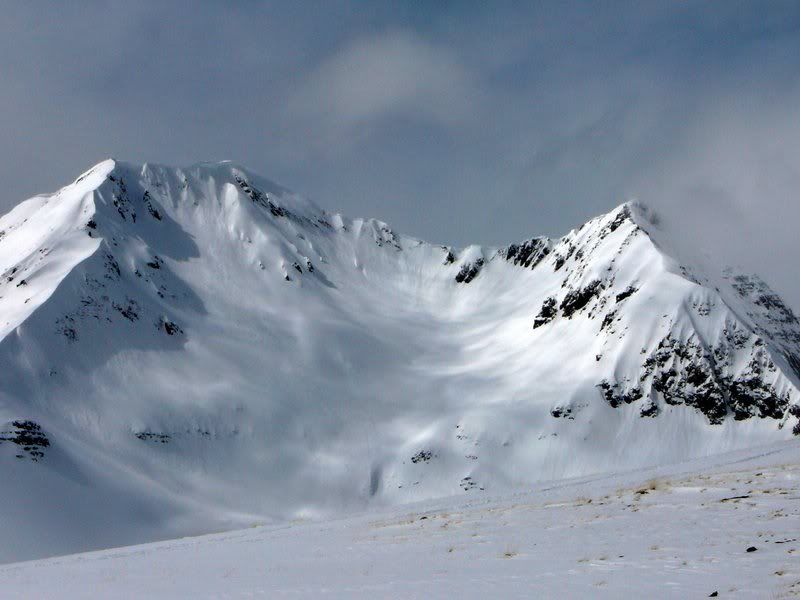 CrestedButte3-16-08color4.jpg