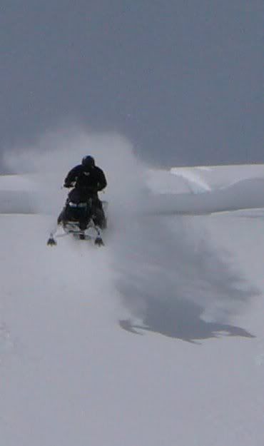 CrestedButte3-16-08crop8.jpg