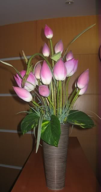 IMG_0592.jpg image by DHBA_2006