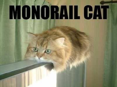 Monorail Cat, LOL Cats