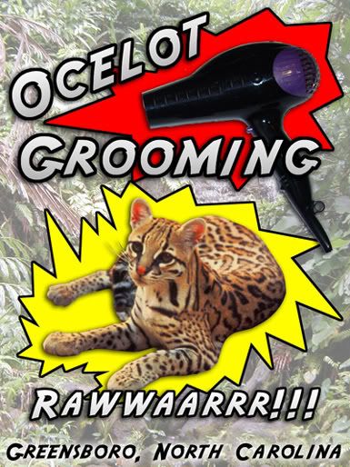 Search Engine Ocelot Grooming