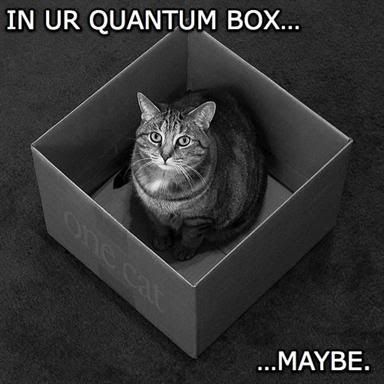 Quantum LOLCats