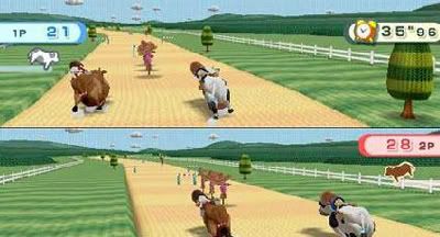 Wii Play Bull Racing