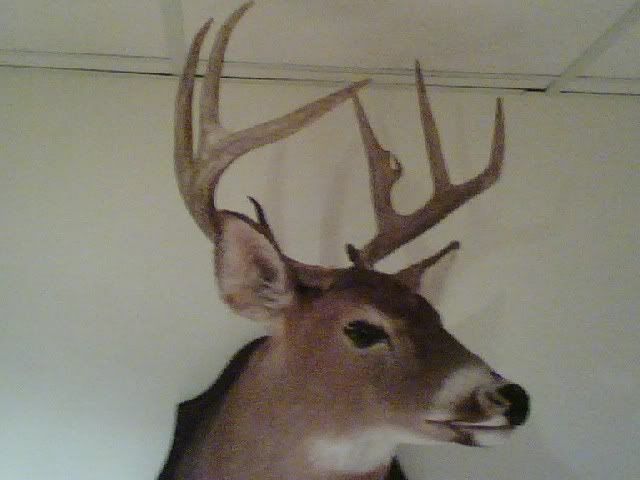 DadsBuck2.jpg