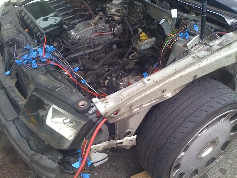 Evap purge valve | VW Vortex - Volkswagen Forum