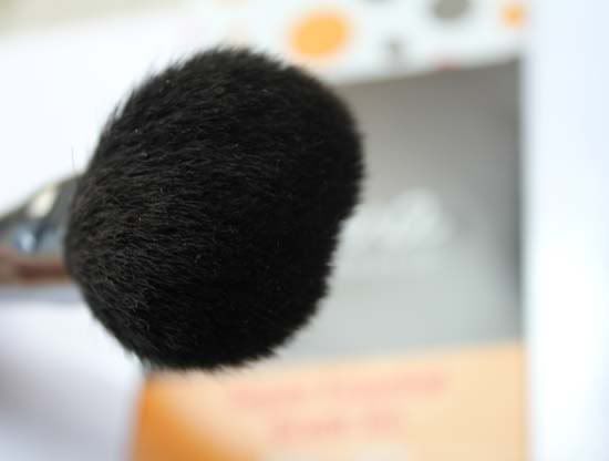 Of course i applied all my makeup with Sigma brushes today and it looks 