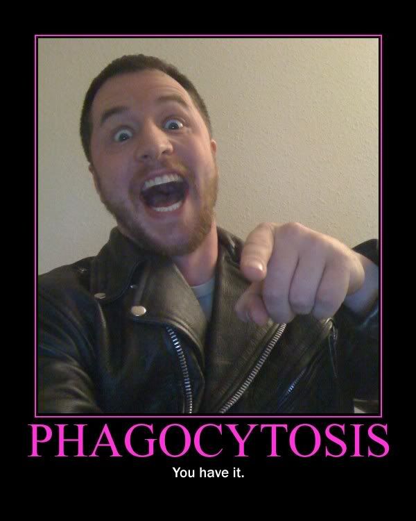 phagocytosis.jpg