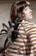 sjspider.gif