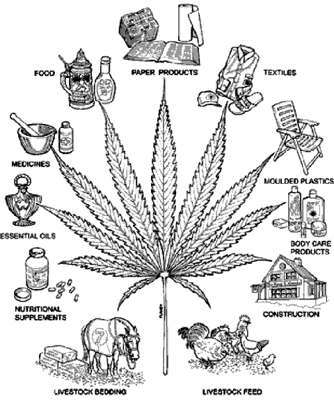marijuana_sql.gif image by xpherriosx