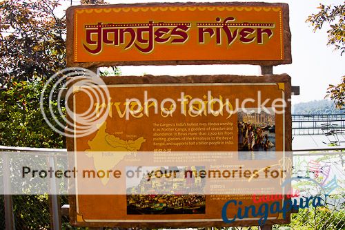 River Safari - Ganges