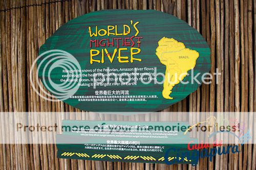 River Safari - Amazonas River Quest 