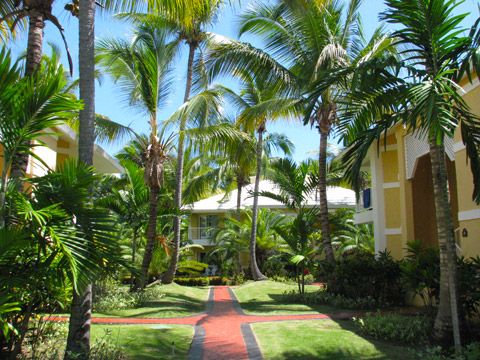 Punta Cana: Dois Momentos, Dois Hotéis – Grand Palladium Bavaro Punta Cana: Dois Momentos, Dois Hotéis – Grand Palladium Bavaro