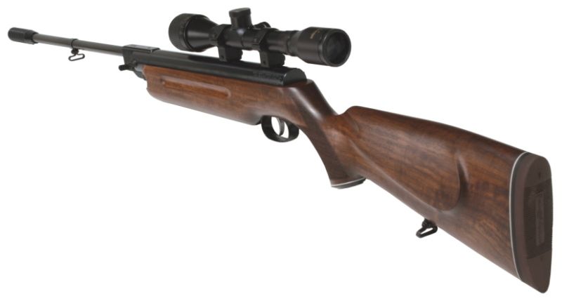 Weihrauch HW35E or HW35 ... Perfect Spring & Piston Air Rifle for an ...