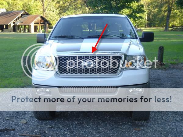 2006 Ford f150 chrome grill #7